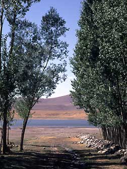 ダム湖へ続く小径。両側に並ぶ木の枝がそよそよと秋風をつれてきた。